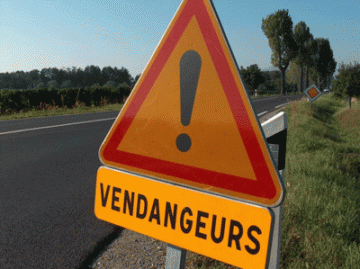 Image du Blog centerloupcenterblognet