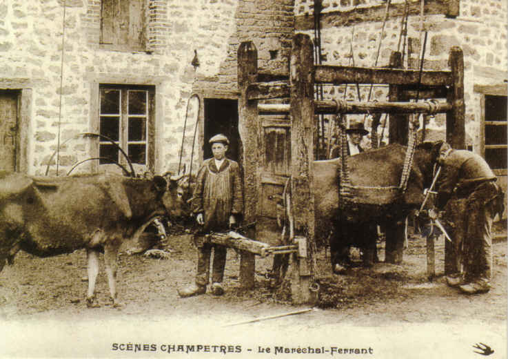 Petite Vitrine De Maréchal Ferrant